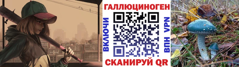 Псилоцибиновые грибы Psilocybe  Чадан 